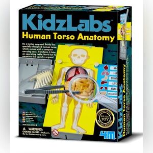 4M "Kidz Labs Human Torso Toy